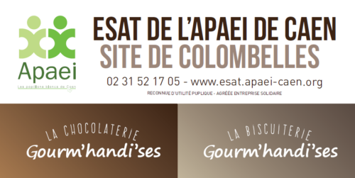 Logo représentant l'établissment ESAT de l'APAEI de CAEN - Site de Colombelles